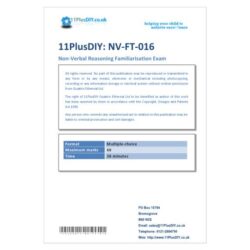 Non Verbal Reasoning - Test Pack 3
